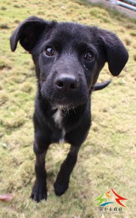 Q萌的嘿媒。台中市政府/提供