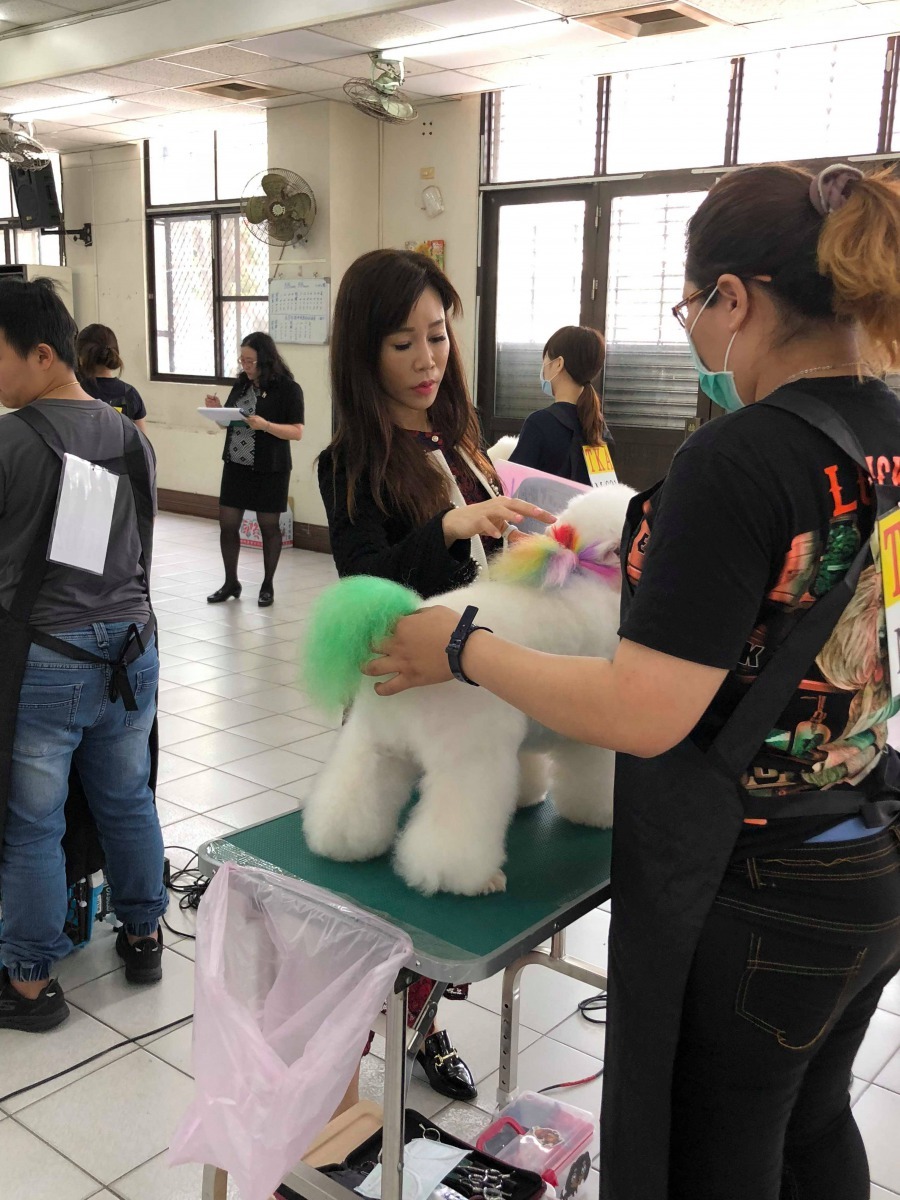  獨當一面的寵物美容師，首先必須具備與客戶的溝通能力，要有＜把客戶的毛小孩當成自己的毛小孩的心態＞。梁憶萍/提供