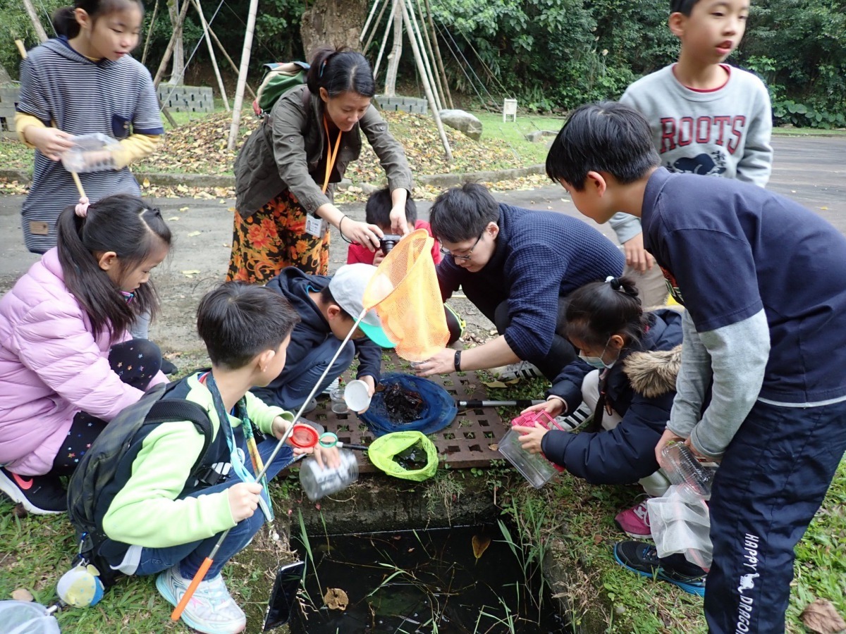 「昆蟲體驗營」帶領孩子主動去探索自然以及不斷與老師討論的學習機會。臺北市教育局/提供