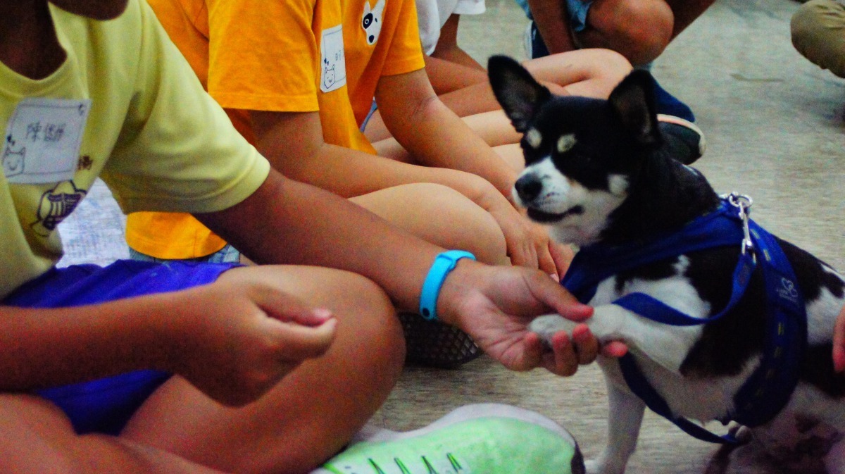 老師們將如何照顧校犬及如何正確與校犬相處的方法，融入課程之中。台北市政府/提供