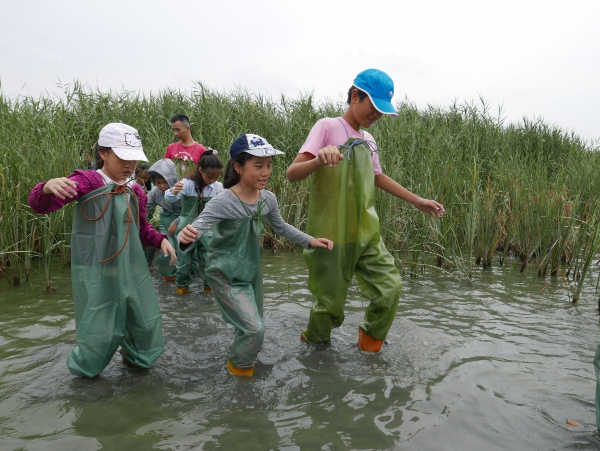 「濕地探險家」夏令營，針對12年國教課程，規劃相關知識與活動內容，透過活動參與與能力培養讓孩子充分學習。台北市政府/提供