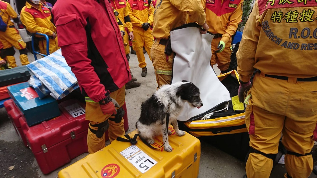 搜救隊及搜救犬第一時間趕往現場待命。周聰吉/提供