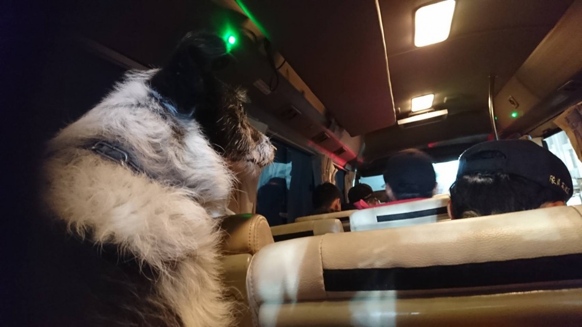 竹山駐地開車前往花蓮少說也要七小時，此次任務是先到清泉崗機場搭乘運輸機直飛花蓮。周聰吉/提供