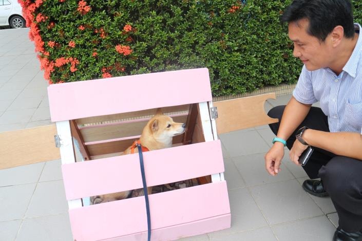 校長也參與狗屋粉刷。台北市福安國中/提供