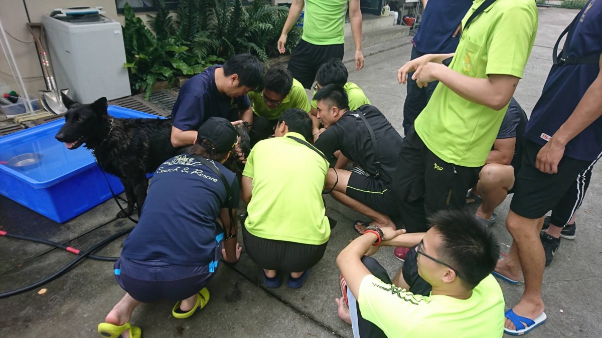 搜救犬隊的經營處處充滿了技術與挑戰，屬於技術勞力兩項高度密集的工作。周聰吉/提供