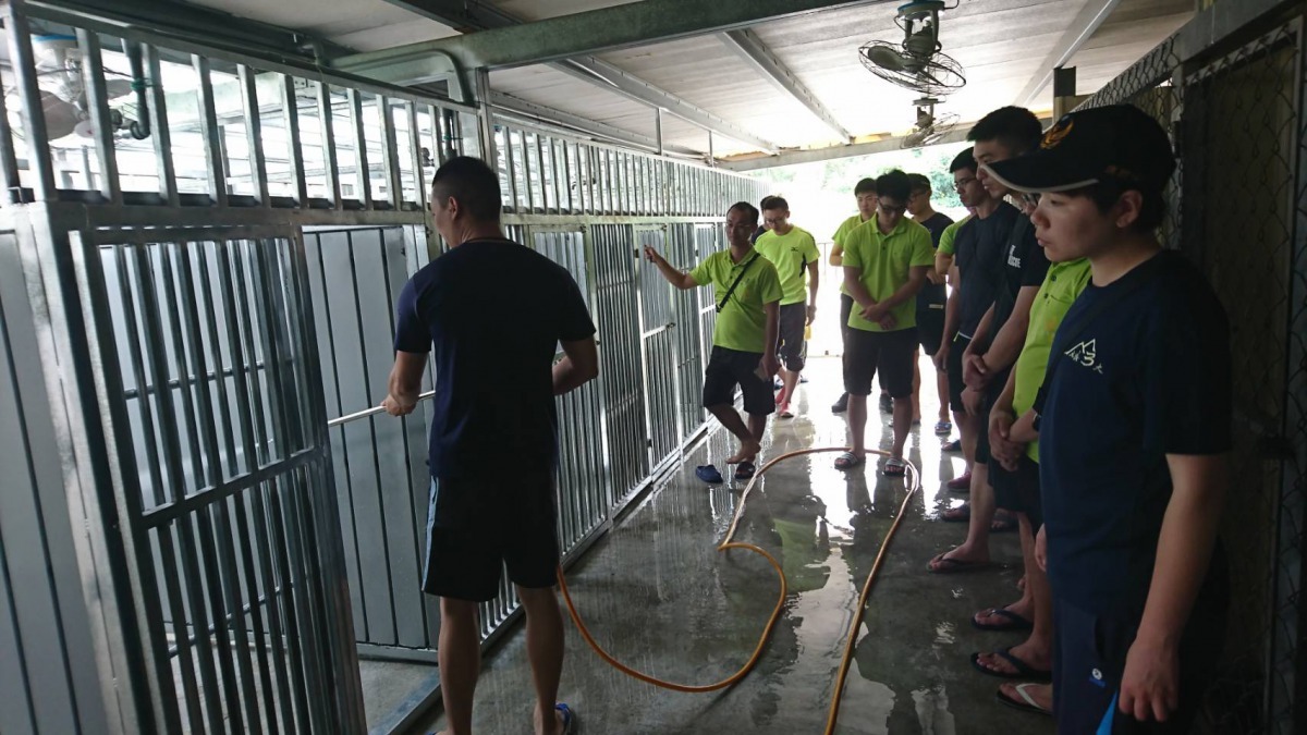 搜救犬培養及領犬員受訓過程萬分艱辛，每日平均工作時間超過13小時。周聰吉/提供