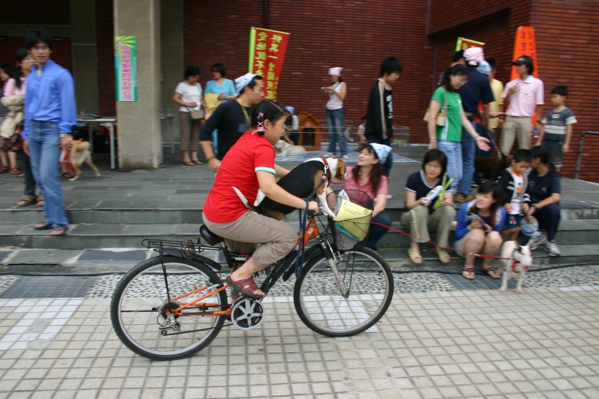 只有善待眾生，人際關係才能祥和美善。高維奇/攝