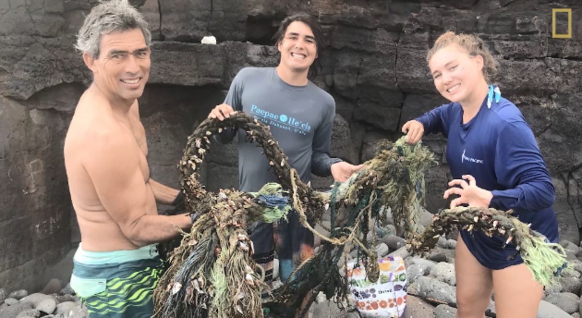 營救行動有生態控制人員、專業人士。