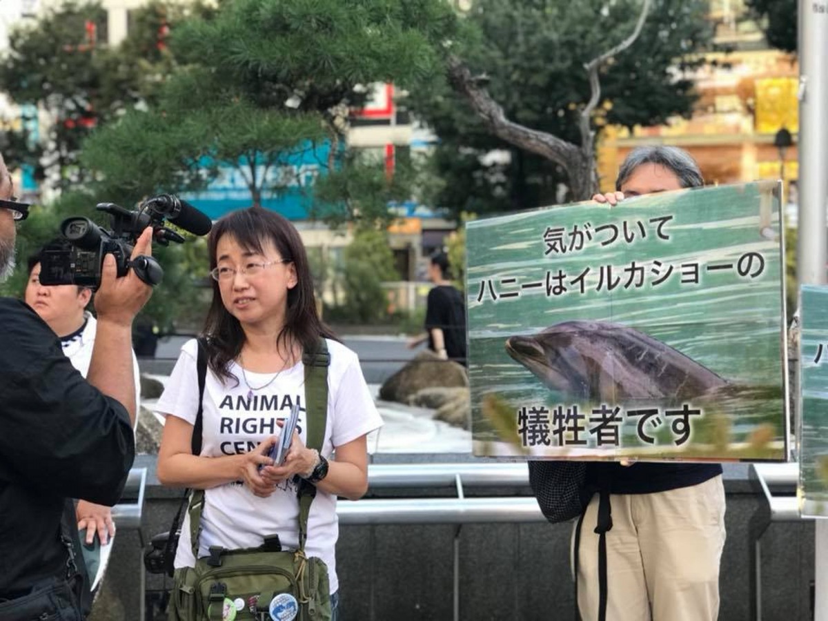 動保組織在街頭展示水族館裡的現況,表示海洋生物是水族館的犧牲者。(Animal Rights Center Japan))