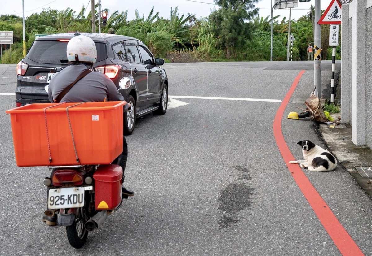 第二天早上,網民見到黑白小狗還待在現場。(Tony Lin@facebook)