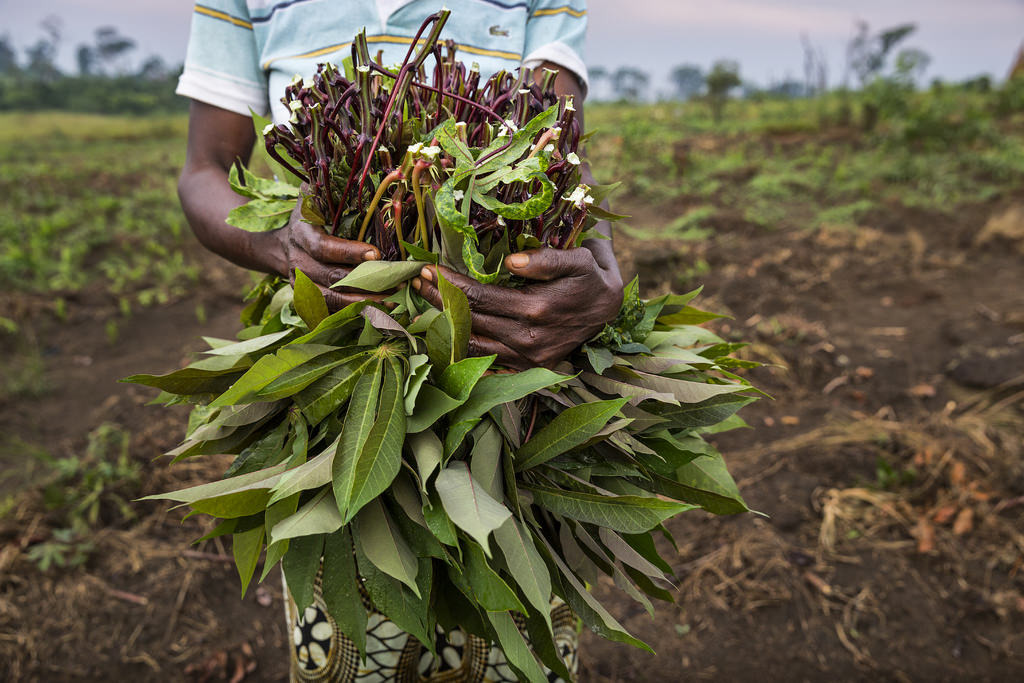 保育工作能發揮作用。圖片來源:Karine Aigner / WWF-US