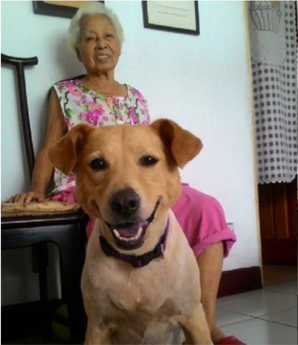 狗狗露出勝利笑容。(Facebook圖片:虞舜婷)