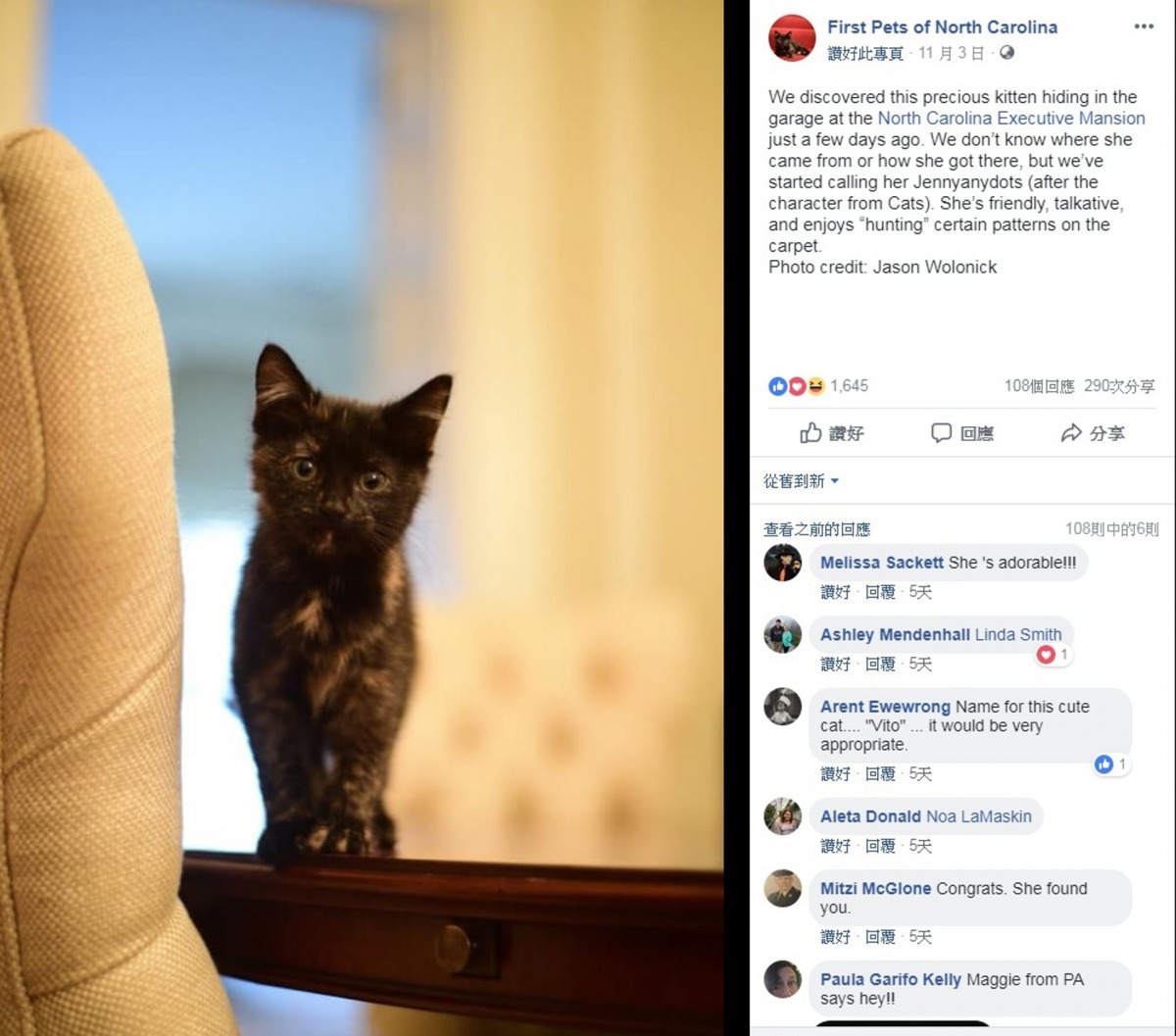 網民讚揚州長的行為,紛紛留言支持。(First Pets of North Carolina)