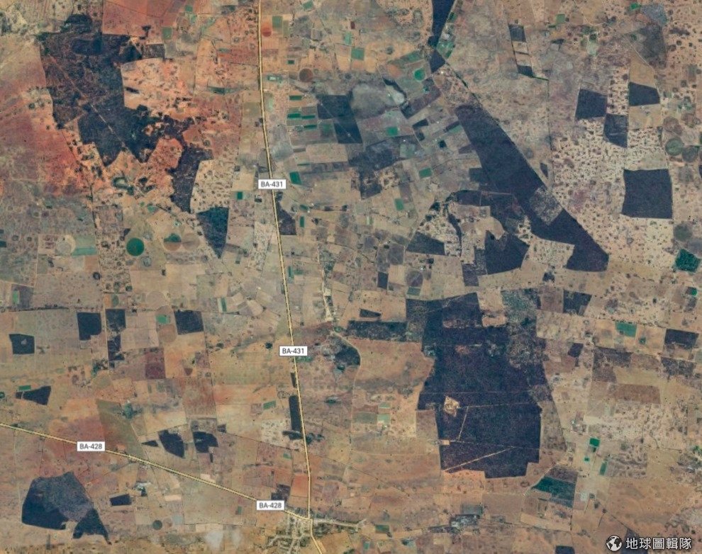 如果把畫面拉近一點往人居處看,就會發現在巴西多刺茂密的灌木叢卡廷加群落,因為人為開發的關係,有很多區塊的灌木叢都被夷平了。 地球圖輯隊