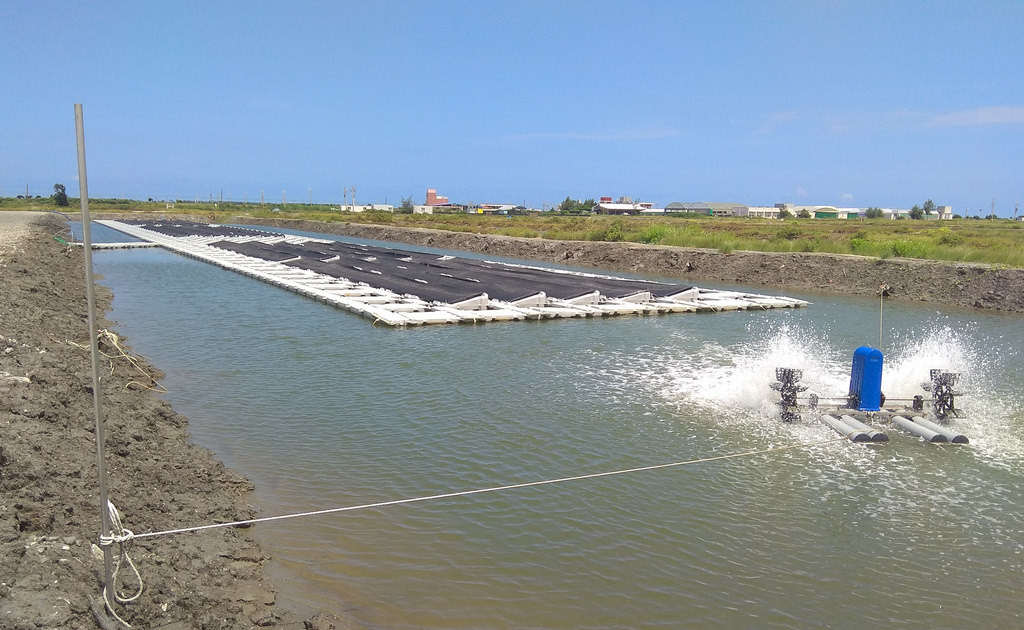水試所模擬光電結合吳郭魚、石斑、鱸魚的養殖。水試所提供。