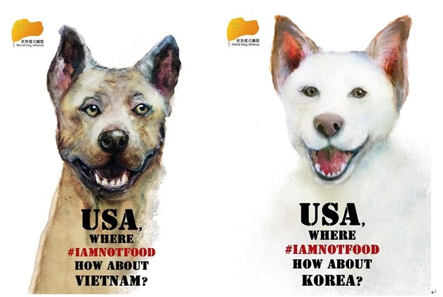 越南和韓國的食用狗肉陋習,今年出現轉機,韓國出現殺狗被判刑的案例,越南河內市將在2021年全面關閉狗肉餐廳。WDA/提供