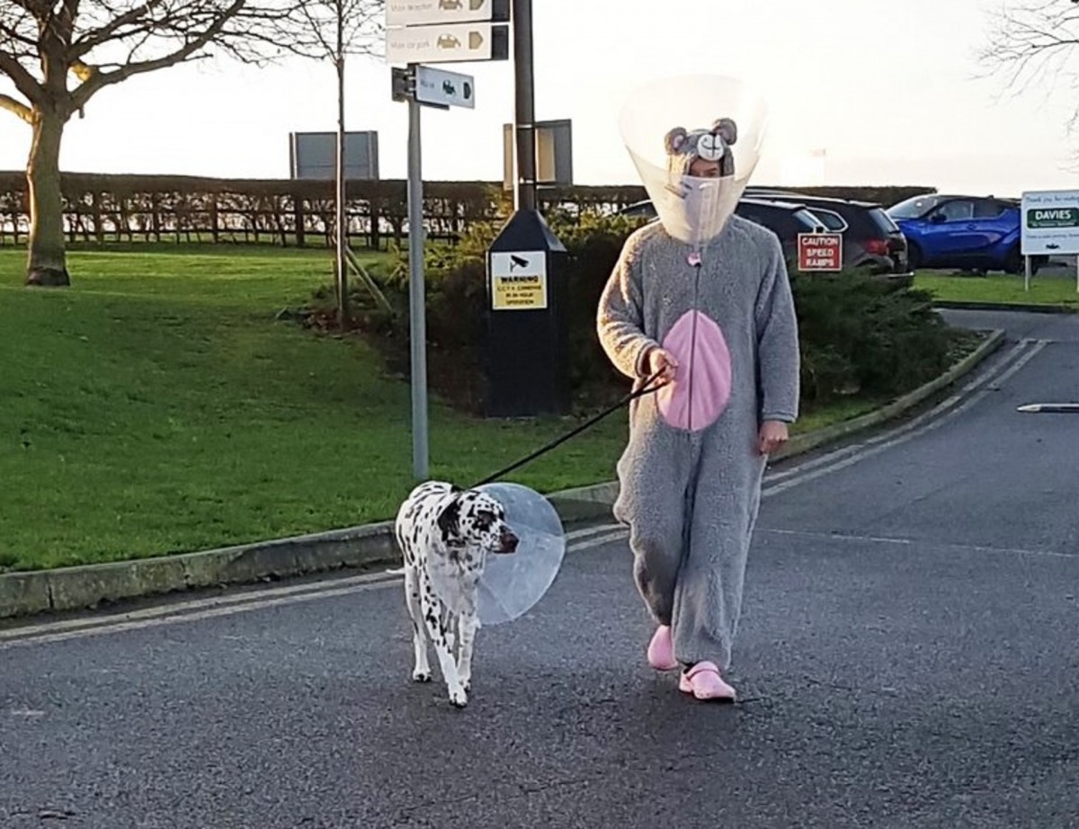 獸醫還陪牠帶上頭罩。(Facebook圖片:Davies Veterinary Specialists)