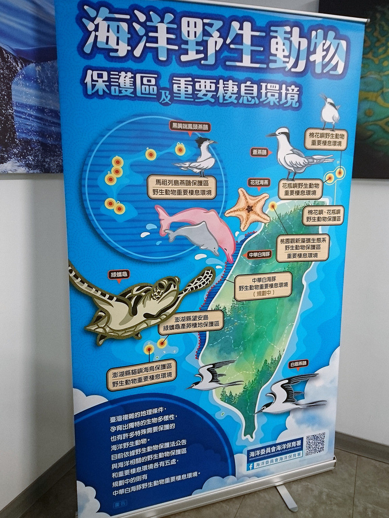 海洋保護區因不同目的成立由不同單位管理,海保署將統籌設置資訊平台。攝影:李育琴