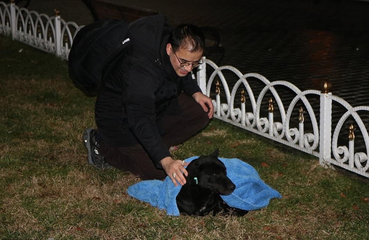 他每天下班後，都會帶著毛毯到街上流連。（Daily Mail圖片）