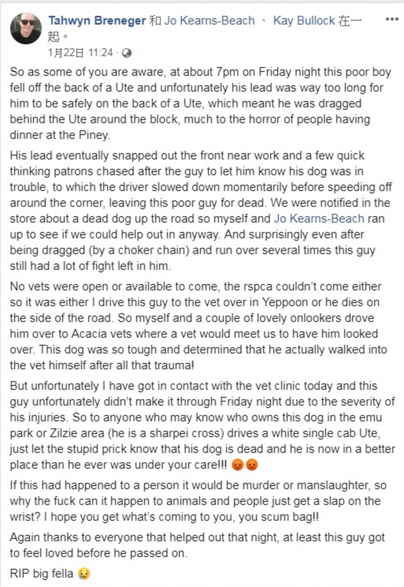 殘忍的虐狗行為，引起網民強烈不滿。（網上截圖）