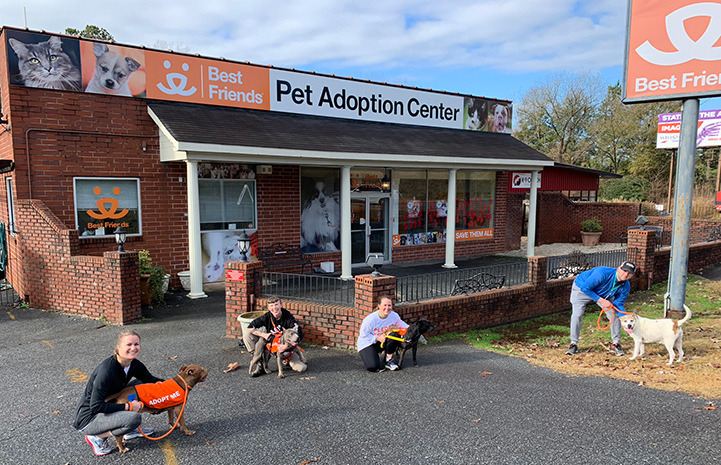 Best Friends透過志工協助照顧動物，並藉此讓更多民眾走入收容中心。圖片來源：Best Friends官網