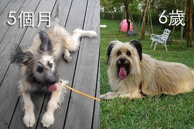 上帝給的驚喜，你永遠無法預測，他們長大竟然變得這麼美！照片提供：憨憨麻