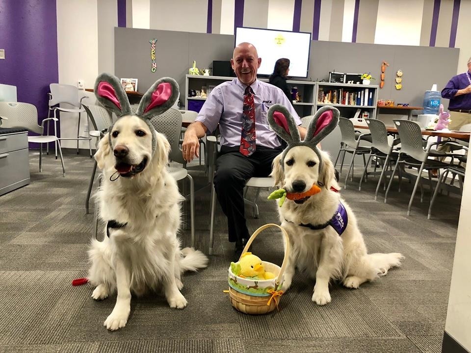 金毛尋回犬兄弟成美國機場明星。（Twitter@emzocooper）