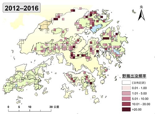 野豬在香港調查地點的出沒頻率及分布， 圖片來源：香港漁農自然護理署