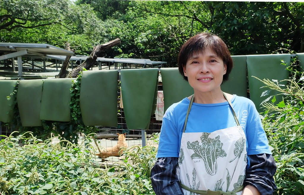 綠電支持卓媽媽維護更健康、乾淨的流浪狗之家。攝影:陳文姿