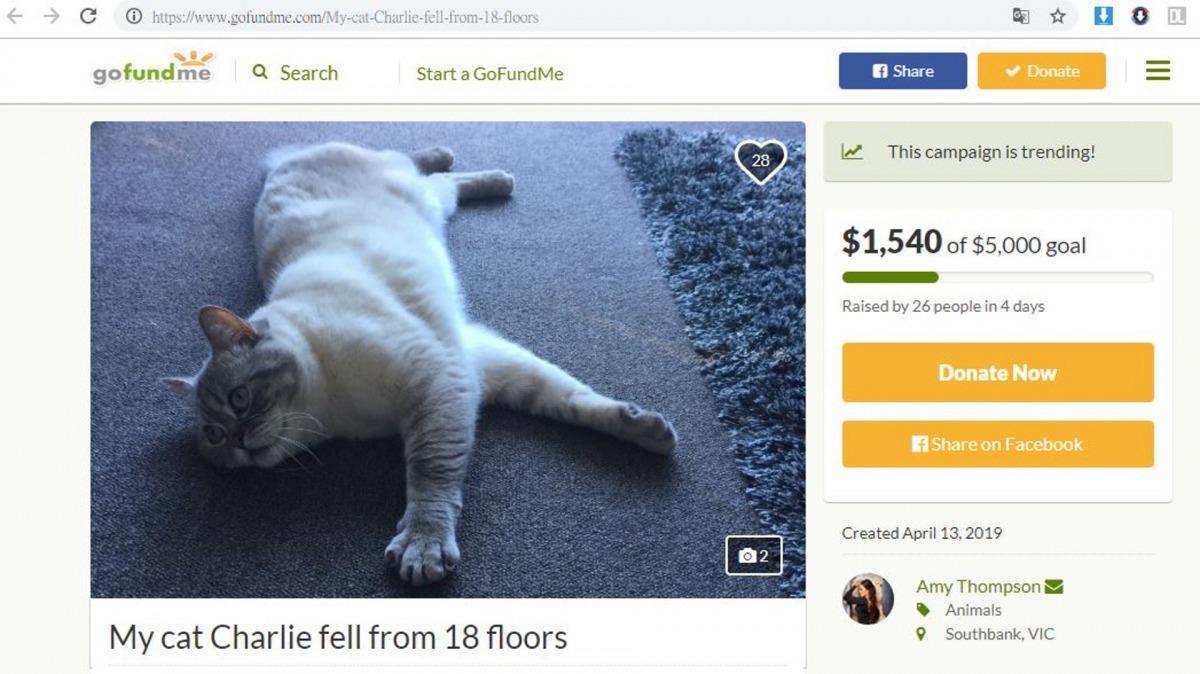 Amy發起網上眾籌,並附上詳盡的醫療費用帳單。(Go Fund Me)