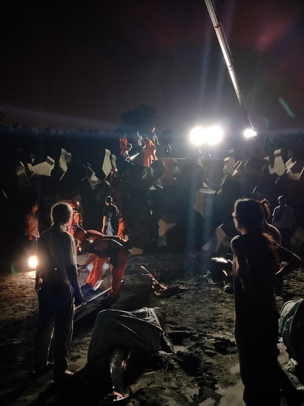 將擱淺小虎鯨吊掛準備後送收容。海保署提供。