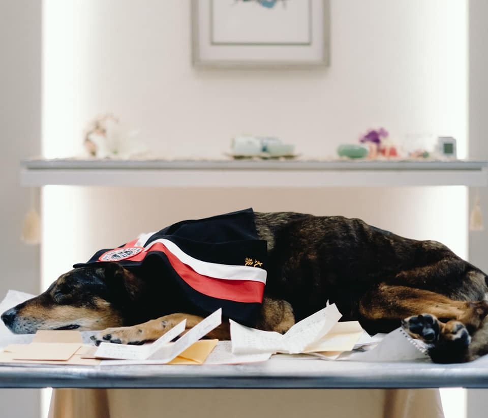 在學生的信件陪伴下離開。（Facebook圖片：東吳大學搖尾巴社）