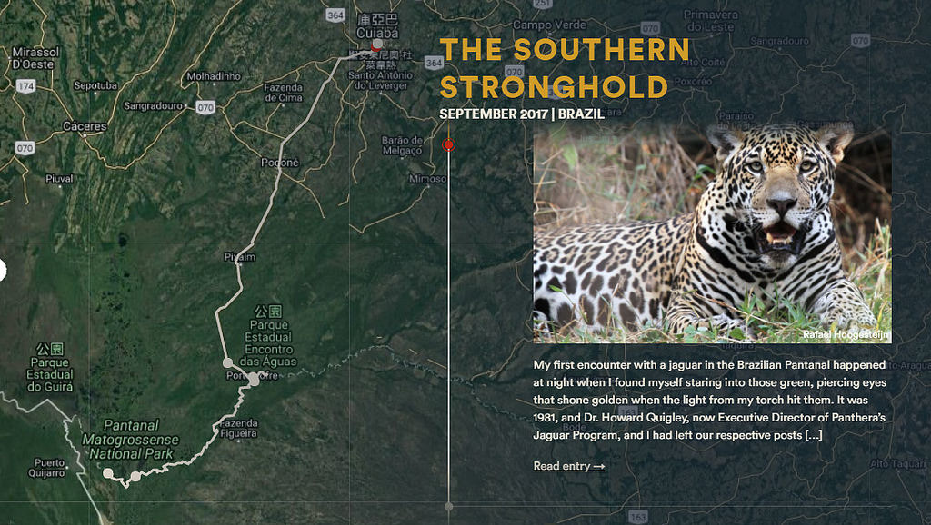 保育團體 Panthera 新推出的計畫「Journey of the jaguar」會將研究員在南美洲保育美洲豹的所見所聞記載下來，放置到網站，讓讀者可以在線上跟著旅行。圖片擷取自計畫網站。