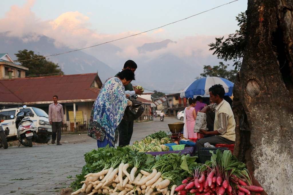 興都庫什喜馬拉雅地區的基因多樣性對於全球糧食安全至關重要。吳宜靜攝。
