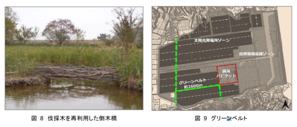 圖片擷取自報告〈錦海ハビタット:瀬戸内 Kirei 太陽光発電所建設における湿地再生〉
