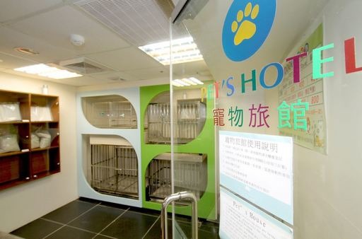 藍天麗池飯店提供寵物旅宿，讓旅人不用擔心毛小孩的住宿問題。奧美/提供