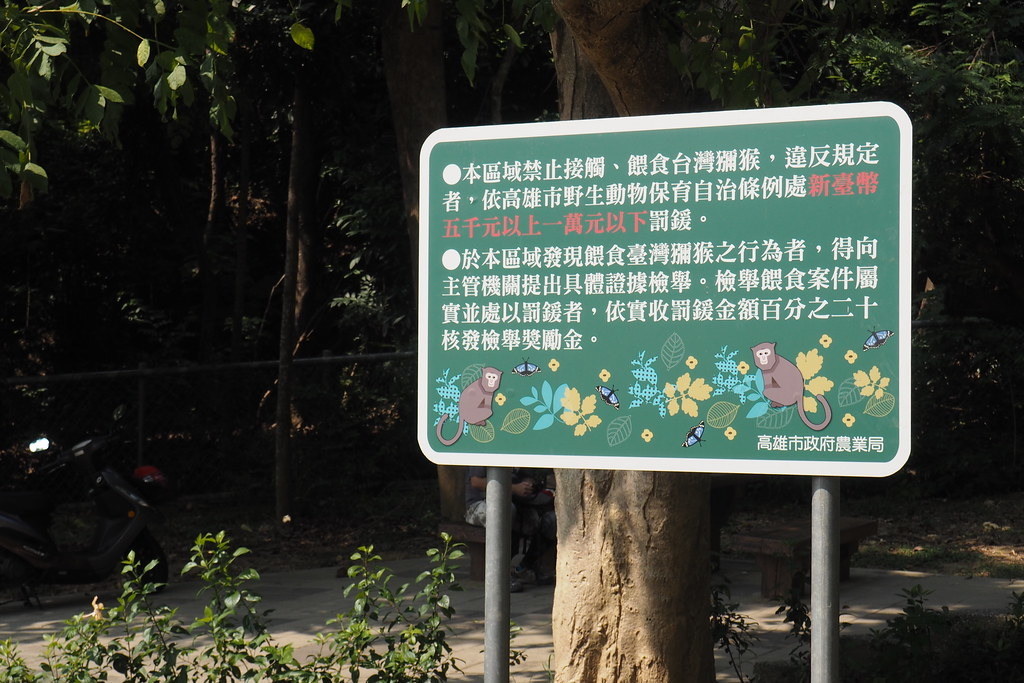 地方政府訂定法規，禁止民眾餵食、接觸獼猴。攝影：李育琴