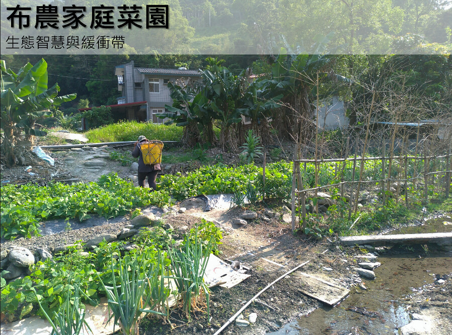 家庭菜園對於生物多樣性與農民保重有重要意義。慈心基金會提供