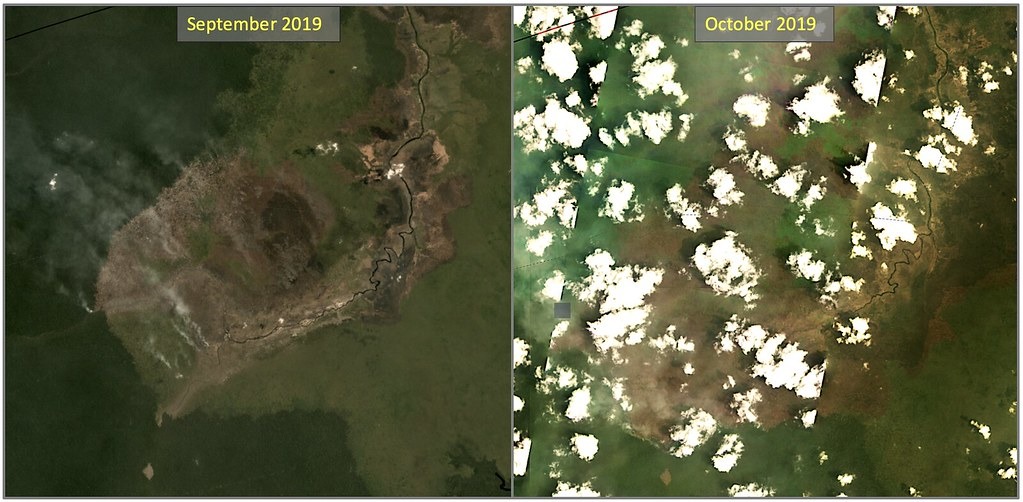 衛星影像顯示10月下旬時，大火已深入原始林。資料來源：Planet Labs。