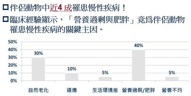 哈寵誌/提供