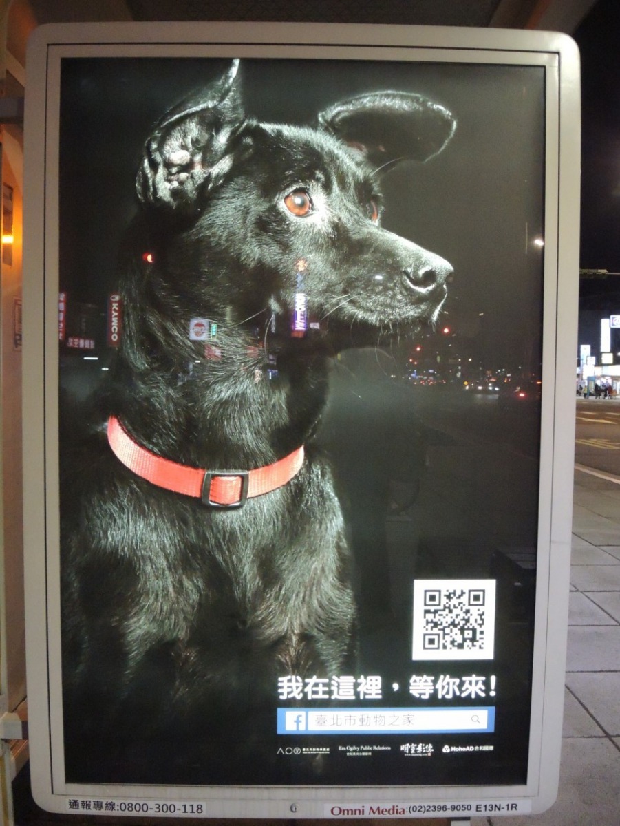 透過廣告宣傳，推廣認養的重要性。陳彥蓉/攝