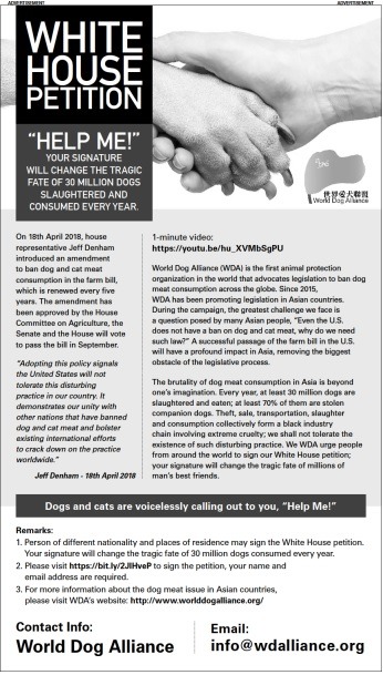 為了拯救千千萬萬的狗，世界愛犬聯盟在華盛頓郵報上刊登全版廣告，呼籲大家參與白宮連署活動。  世界愛犬聯盟 / 提供