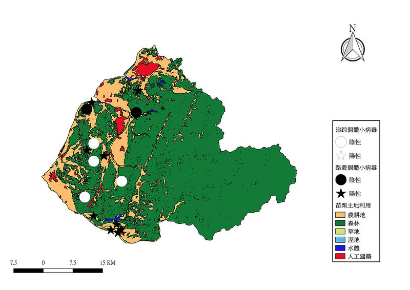 石虎路殺分布圖,陳貞志提供。