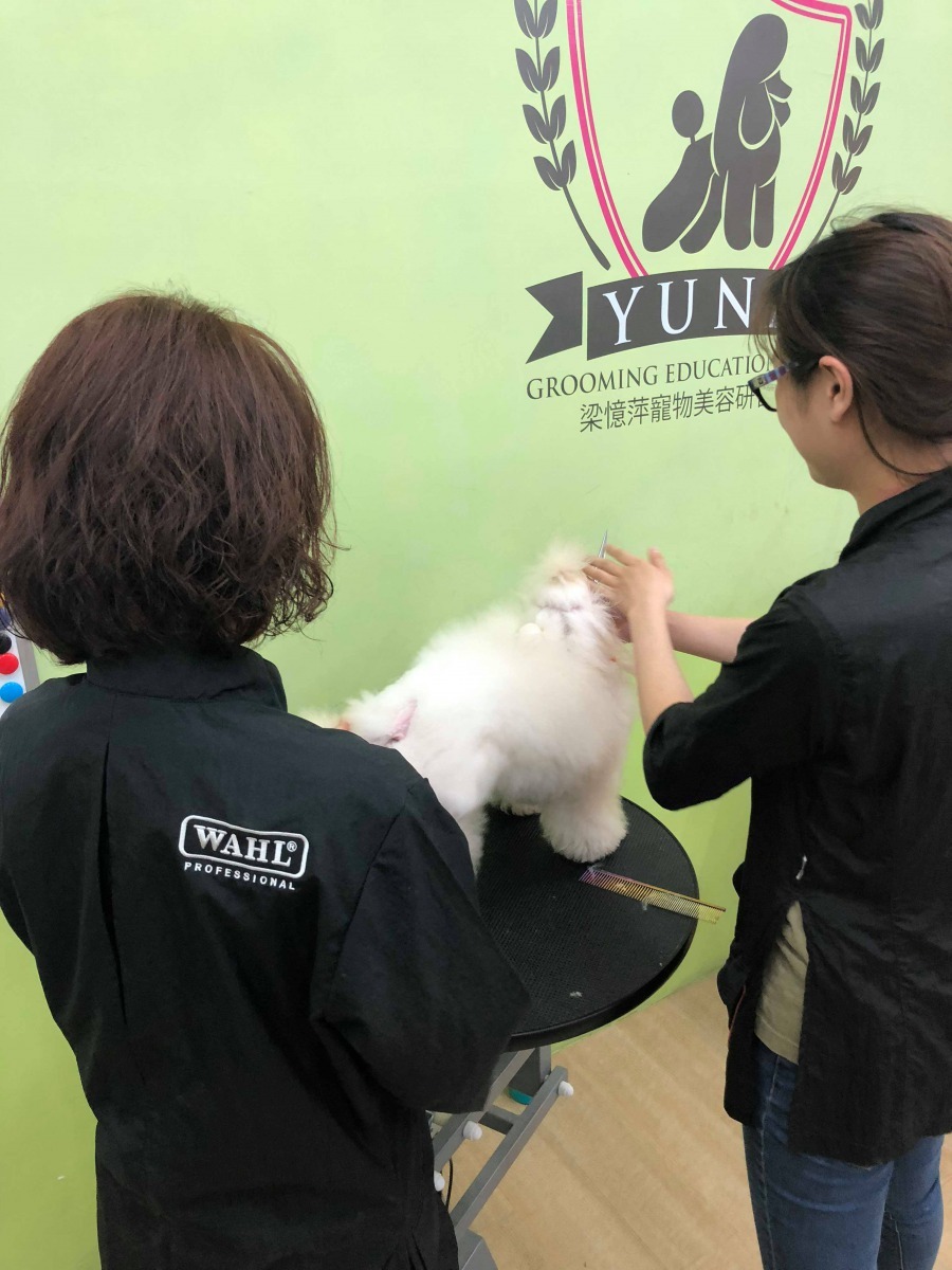 當擁有了真正專業的賺錢能力之後，還會再去想要如何再更提升自己附加價值，而去學習其他有關寵物相關的課程，將會是一個相當優秀難得的美容師。梁憶萍/提供