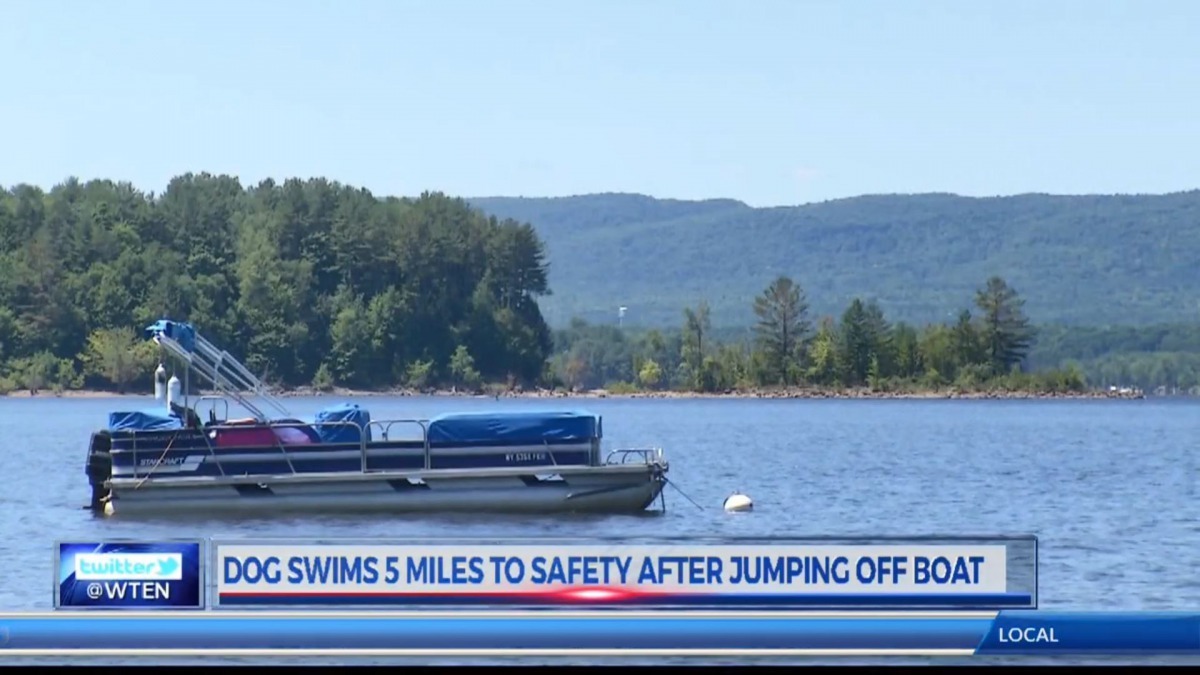 當晚主人靠聽鴨子的叫聲來找狗狗。（KOIN 6 News截圖）