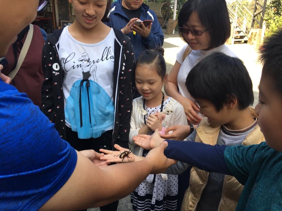 小朋友樂於親近大自然,認識各式昆蟲。取自「築夢森居」粉絲頁