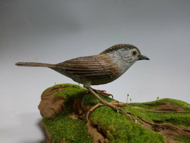 頭烏線_黃麟鳴_臺灣。文化部/提供