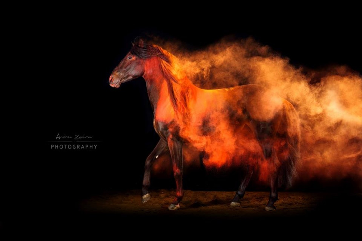 攝影師Andrea Zachrau於馬匹身上灑上橙紅色的粉末,讓牠看起來沐浴於烈焰之中。(Andrea Zachrau Photography)