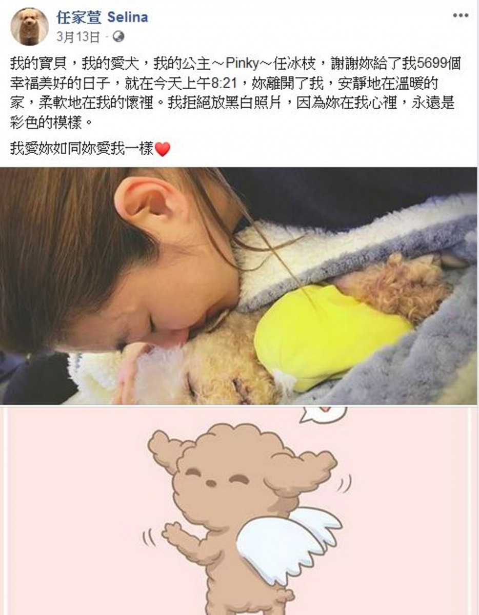 Pinky在今年3月離世，Selina當時也難掩傷痛之情。（Facebook圖片：任家萱 Selina）