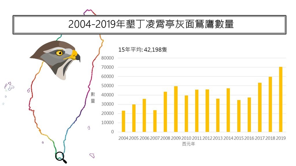 國慶鳥灰面鵟鷹2004-2019年族群數量監測資料。圖片來源:台灣猛禽研究會提供